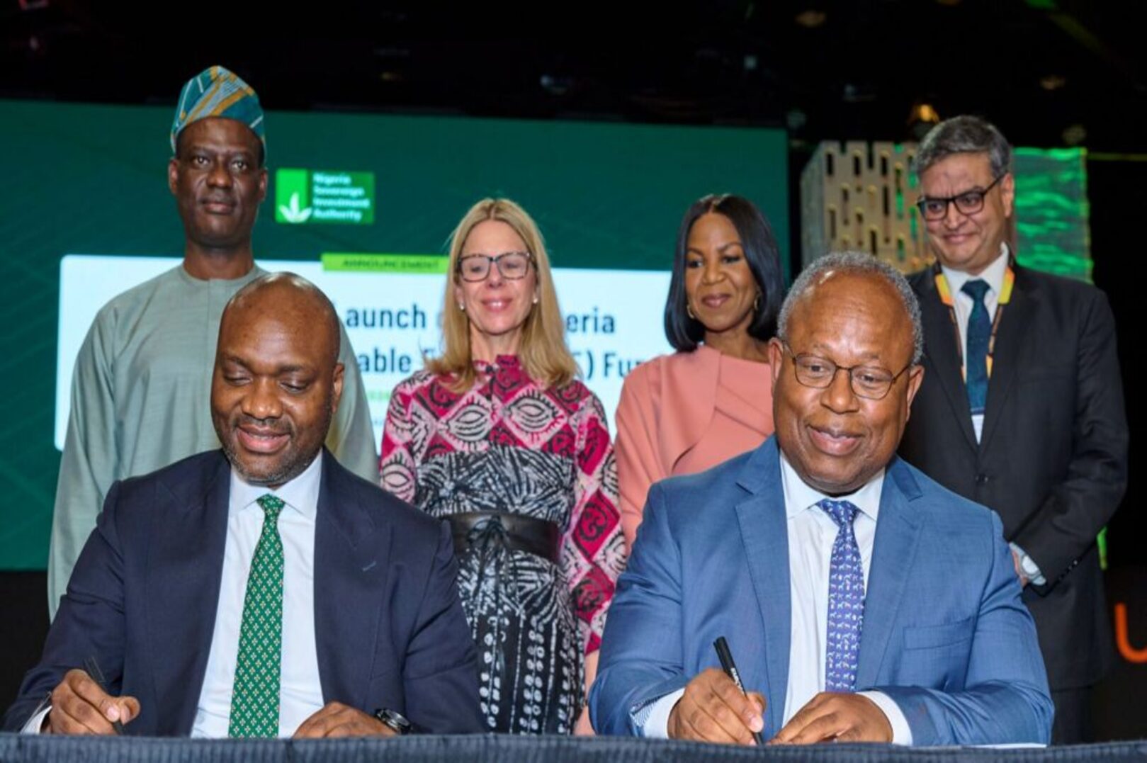 Nigeria launches $300 million fund to expand off-grid power access